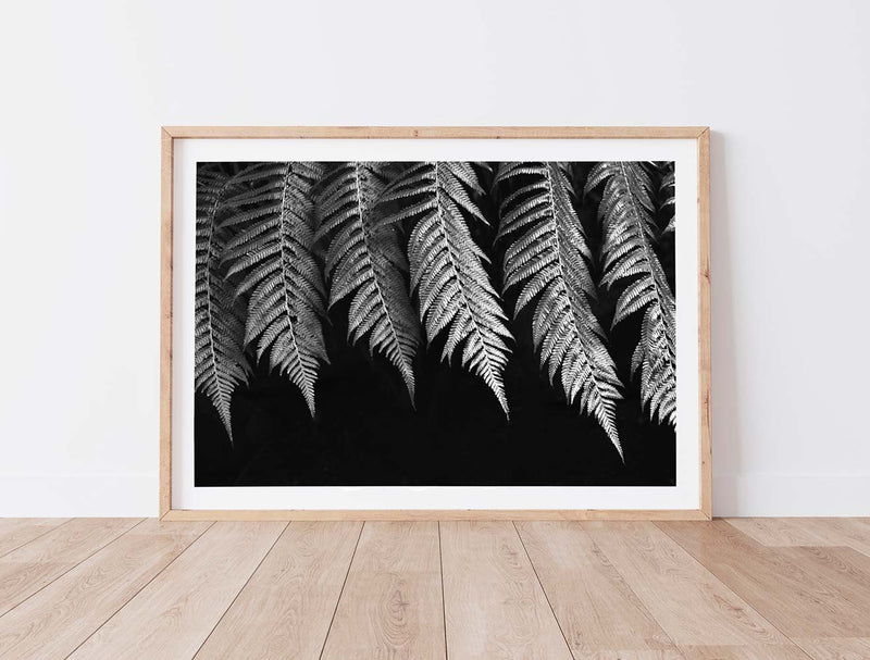 Black & white fern print