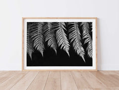 Black & white fern print