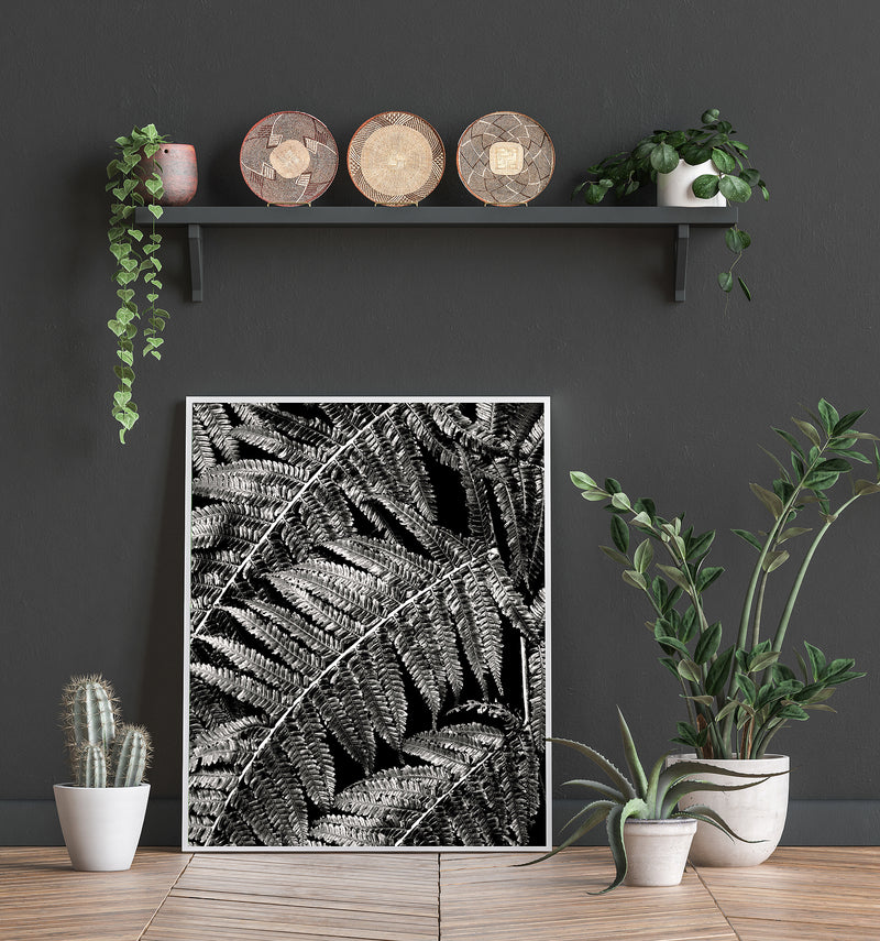 Black & white fern print