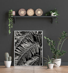 Black & white fern print