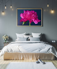 Pretty Peony