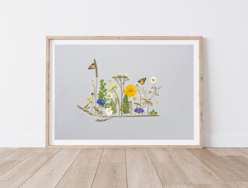 Butterflies in the meadow