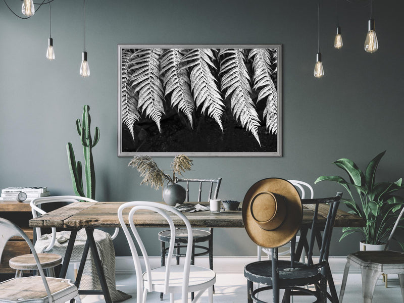 Black & white fern print