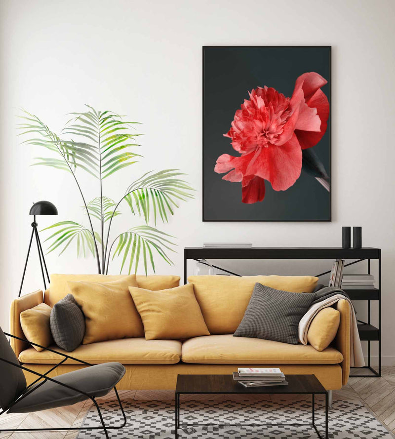 Red Peony